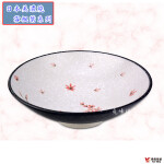 BVZU-01-9吋拉麵碗.