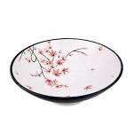 BVZU-01-9吋拉麵碗0