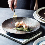 WS030-N-淺式盤TOPP