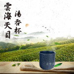 WS011-N-top